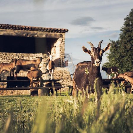 Le Domaine Du Castellas Sivergues Екстериор снимка