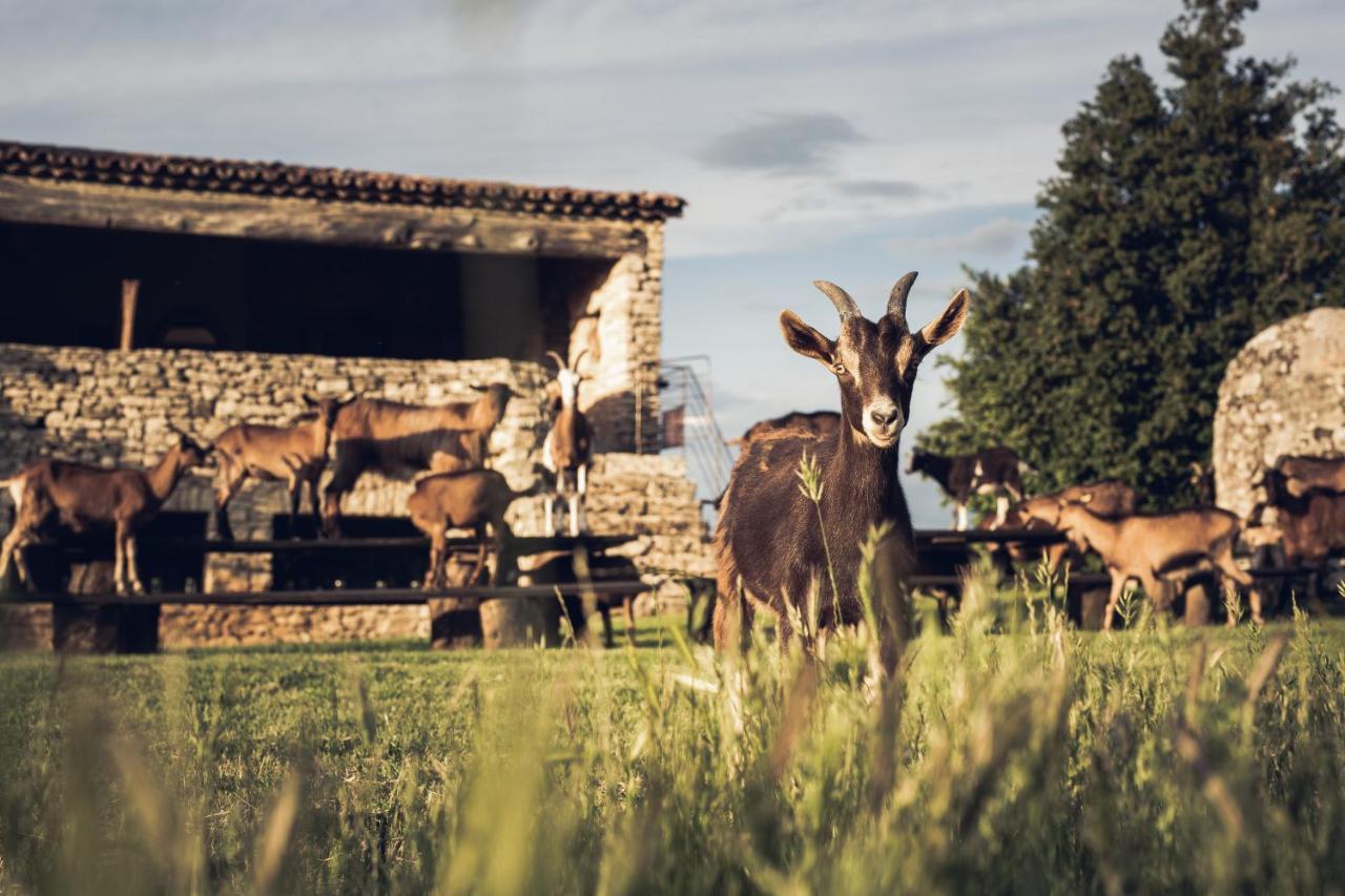 Le Domaine Du Castellas Sivergues Екстериор снимка