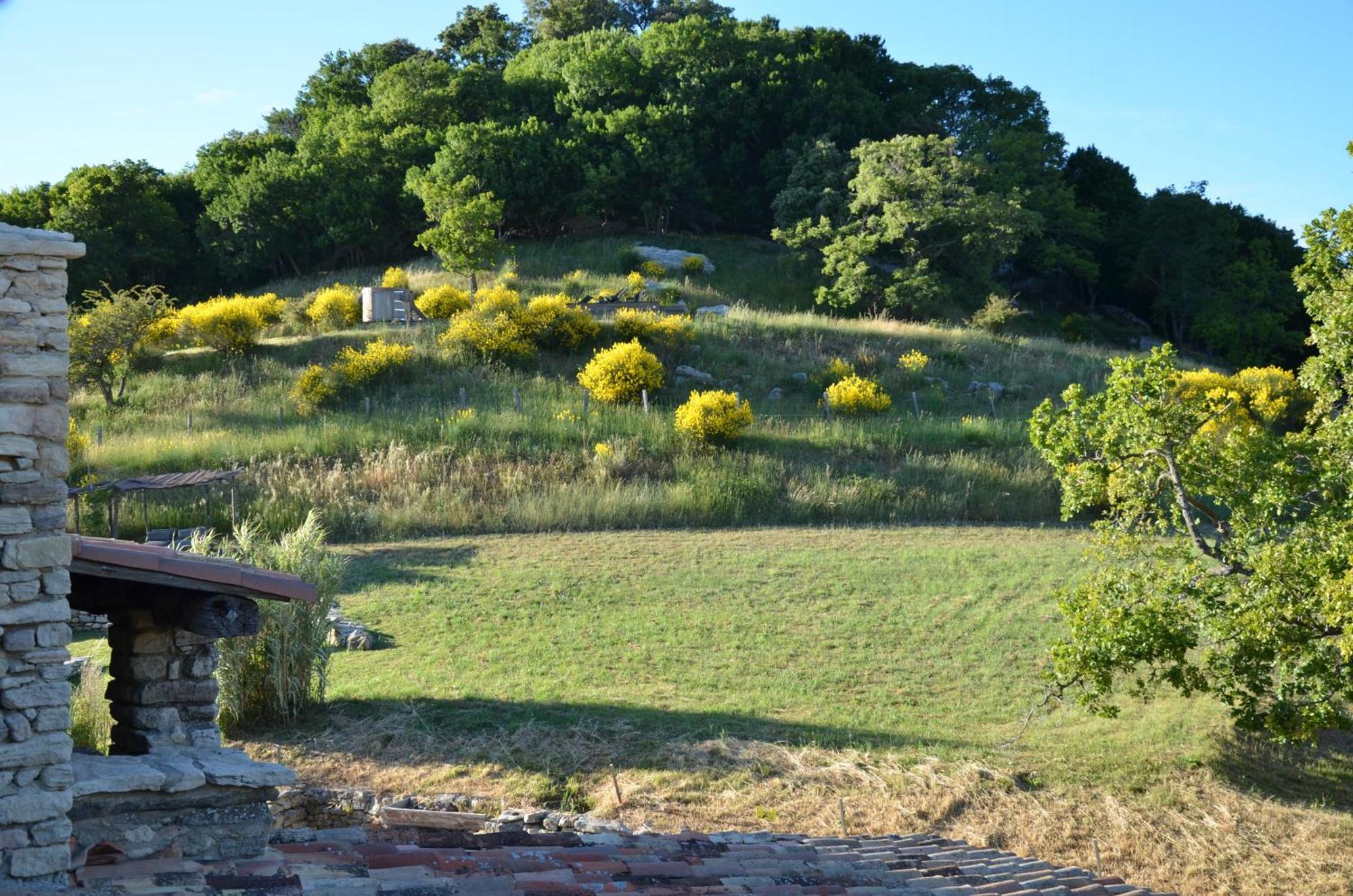 Le Domaine Du Castellas Sivergues Екстериор снимка